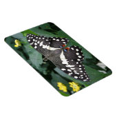 Limoner Schmetterling und Premium-Blume-Magnet Magnet (Rechte Seite)
