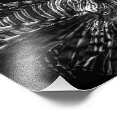 Limonfisch - Foto drucken (Ecke)