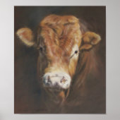 Limousin Bull Poster (Vorne)
