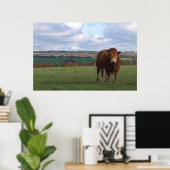 Limousin Bull Print Poster (Heimbüro)