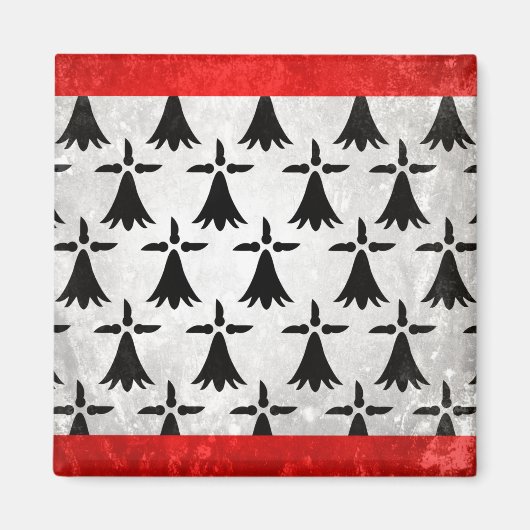 Limousin Magnet (Vorne)