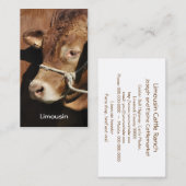 Limousin-Stier-Visitenkarte Visitenkarte (Vorne/Hinten)