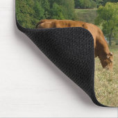 Limousin-Vieh im Creuse Mousepad (Ecke)