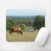 Limousin-Vieh im Creuse Mousepad (Mit Mouse)