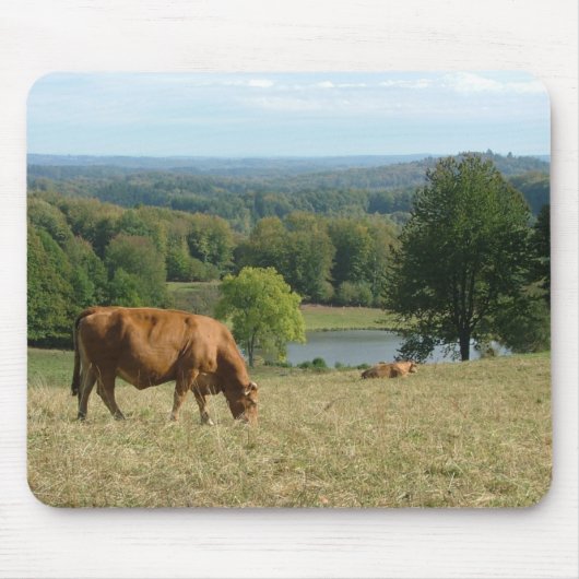 Limousin-Vieh im Creuse Mousepad (Vorne)