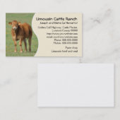 Limousin-Viehranch-Kalb-Foto Visitenkarte (Vorne/Hinten)