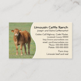 Limousin-Viehranch-Kalb-Foto Visitenkarte