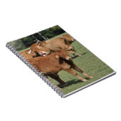 Limousinkalb und -kühe notizblock (Rechte Seite)