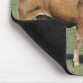 Limousinkuh und -kalb mousepad (Ecke)
