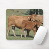 Limousinkuh und -kalb mousepad (Mit Mouse)