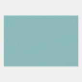 Limpet Muschel Blue Green Spring Season Solid Colo Geschenkpapier Set (Vorderseite 3)