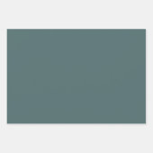 Limpet Muschel Blue Green Spring Season Solid Colo Geschenkpapier Set (Vorderseite 2)