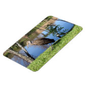 Limpkin (1118) Magnet (Linke Seite)