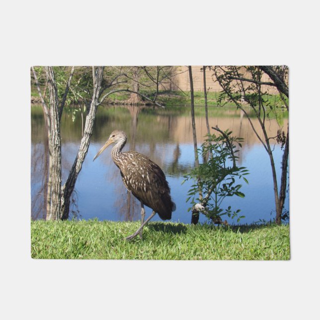 Limpkin (1118) Tür-Matte Fußmatte (Vorderseite)