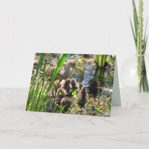 Limpkin-Familie - Mama und Küken - Muttertag  Karte
