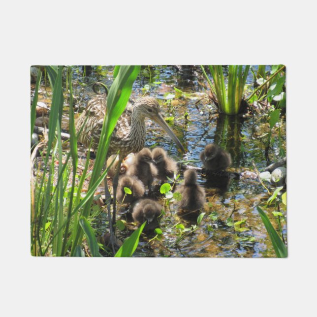 Limpkin Family Doormat - Florida Wildlife Fußmatte (Vorderseite)
