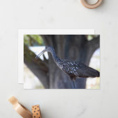 Limpkin Mitteilungskarte (Vorderseite/Rückseite Beispiel)