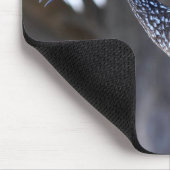 Limpkin Mousepad (Ecke)