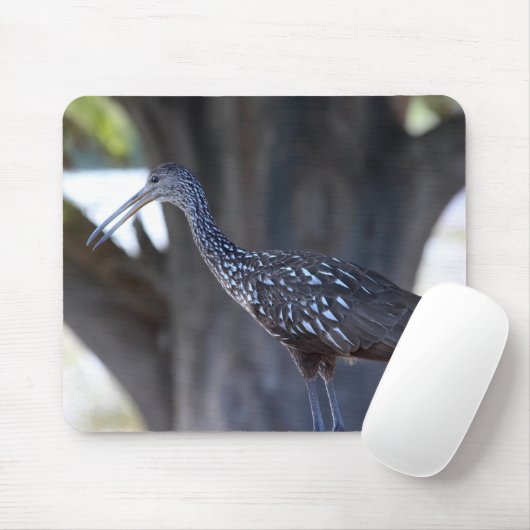 Limpkin Mousepad (Mit Mouse)