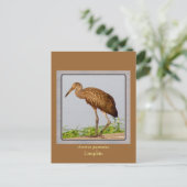 LImpkin Postkarte (Stehend Vorderseite)