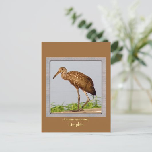 LImpkin Postkarte (Stehend Vorderseite)
