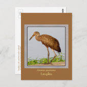 LImpkin Postkarte (Vorne/Hinten)