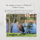 Limpkin - Postkarte lernen - Florida (Vorne/Hinten)