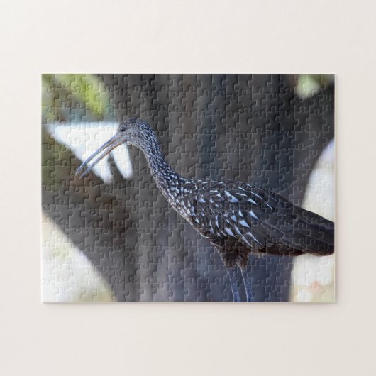 Limpkin Puzzle (Horizontal)