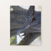 Limpkin Puzzle (Vertikal)