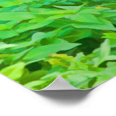 Limpkin, Swamp Bird Print Poster (Ecke)