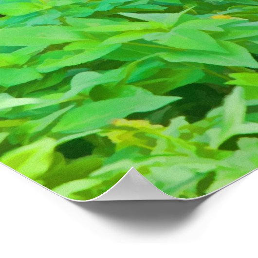 Limpkin, Swamp Bird Print Poster (Ecke)