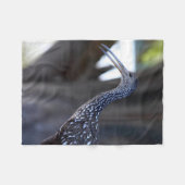 Limpkin, The Crying Bird Fleecedecke (Vorderseite (Horizontal))