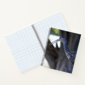 Limpkin, The Crying Bird Notizblock (Innenseite)