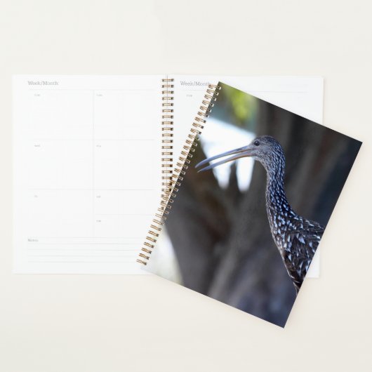 Limpkin, The Crying Bird Planer (Anzeige)