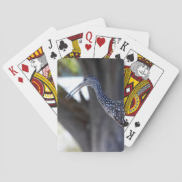 Limpkin, The Crying Bird Spielkarten