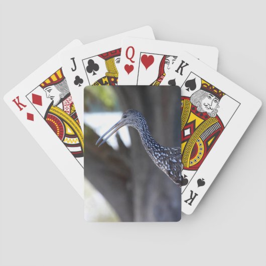 Limpkin, The Crying Bird Spielkarten (Rückseite)