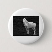 LIN10BW das Stance.tif Button (Vorderseite)