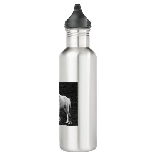 LIN10BW das Stance.tif Edelstahlflasche (Rechts)