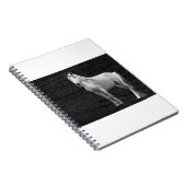 LIN10BW das Stance.tif Notizblock (Rechte Seite)