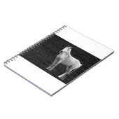 LIN10BW das Stance.tif Notizblock (Linke Seite)