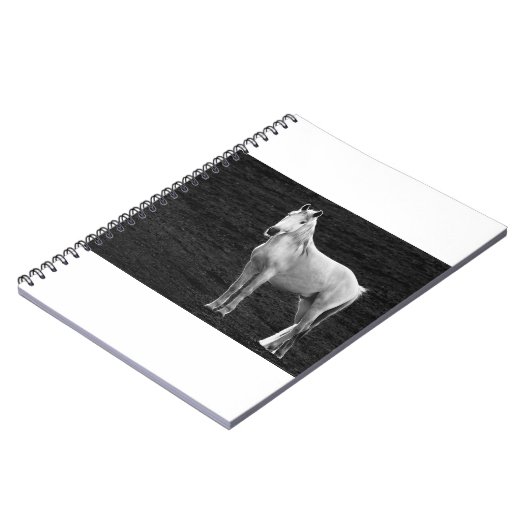 LIN10BW das Stance.tif Notizblock (Linke Seite)