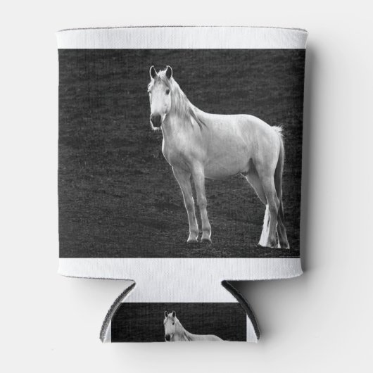 LIN10BW The Stance.tif Dosenkühler (Vorderseite)