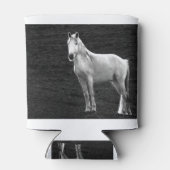 LIN10BW The Stance.tif Dosenkühler (Rückseite)