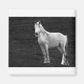 LIN10BW The Stance.tif Magnet (Vorne)