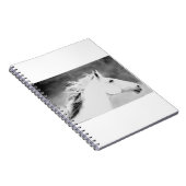 LIN26BW Mähne im Wind.tif Notizblock (Rechte Seite)