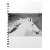 LIN26BW Mähne im Wind.tif Notizblock (Vorderseite)