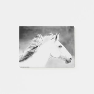 LIN26BW Mähne im Wind.tif Post-it Klebezettel