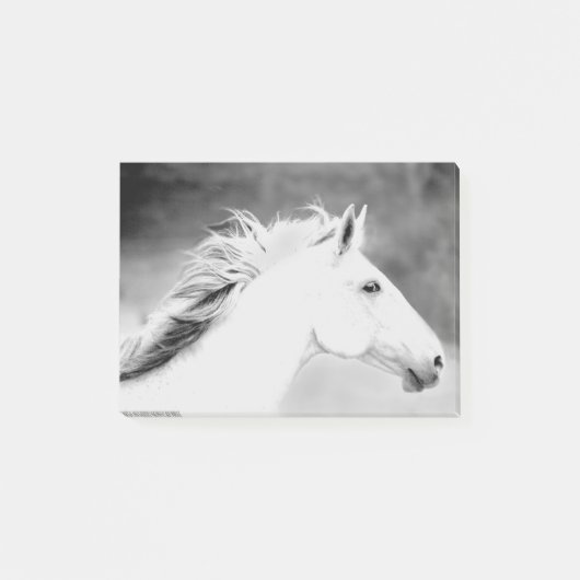 LIN26BW Mähne im Wind.tif Post-it Klebezettel (Vorderseite)