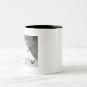 LIN26BW Mähne im Wind.tif Zweifarbige Tasse (Mittel)