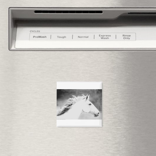 LIN26BW Mane in the Wind.tif Magnet (In Situ (Geschirrspüler))